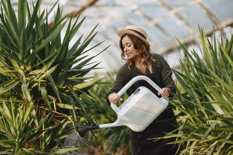 Nawadnianie ogrodu – o czym mowa w praktyce?