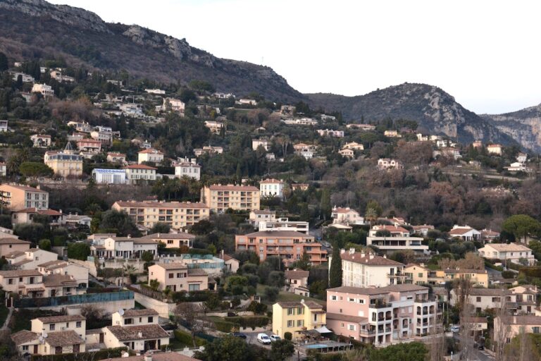 Co daje dach zielony?