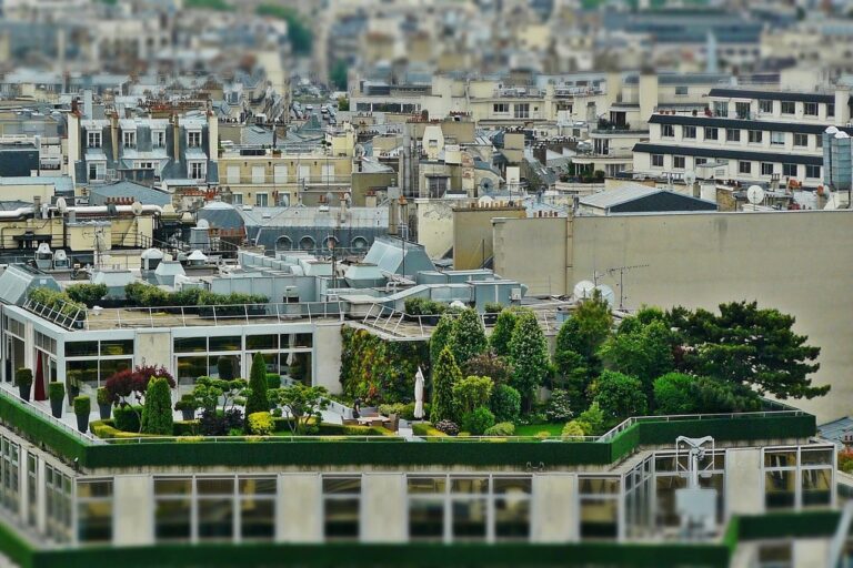 Czym są dachowe maty wegetacyjne?