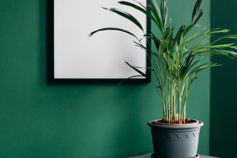 Z jakich materiałów wykonuje się doniczki do roślin?